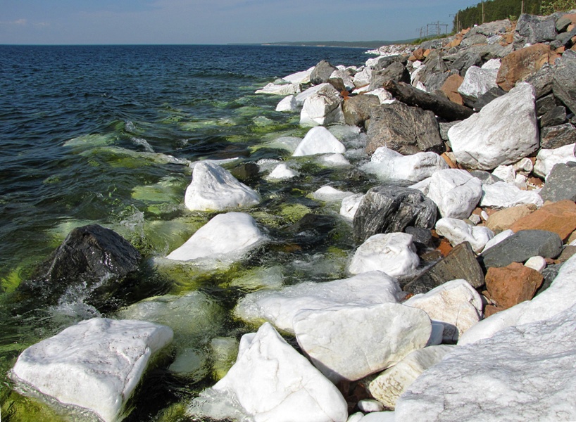 ������������ ������� �������