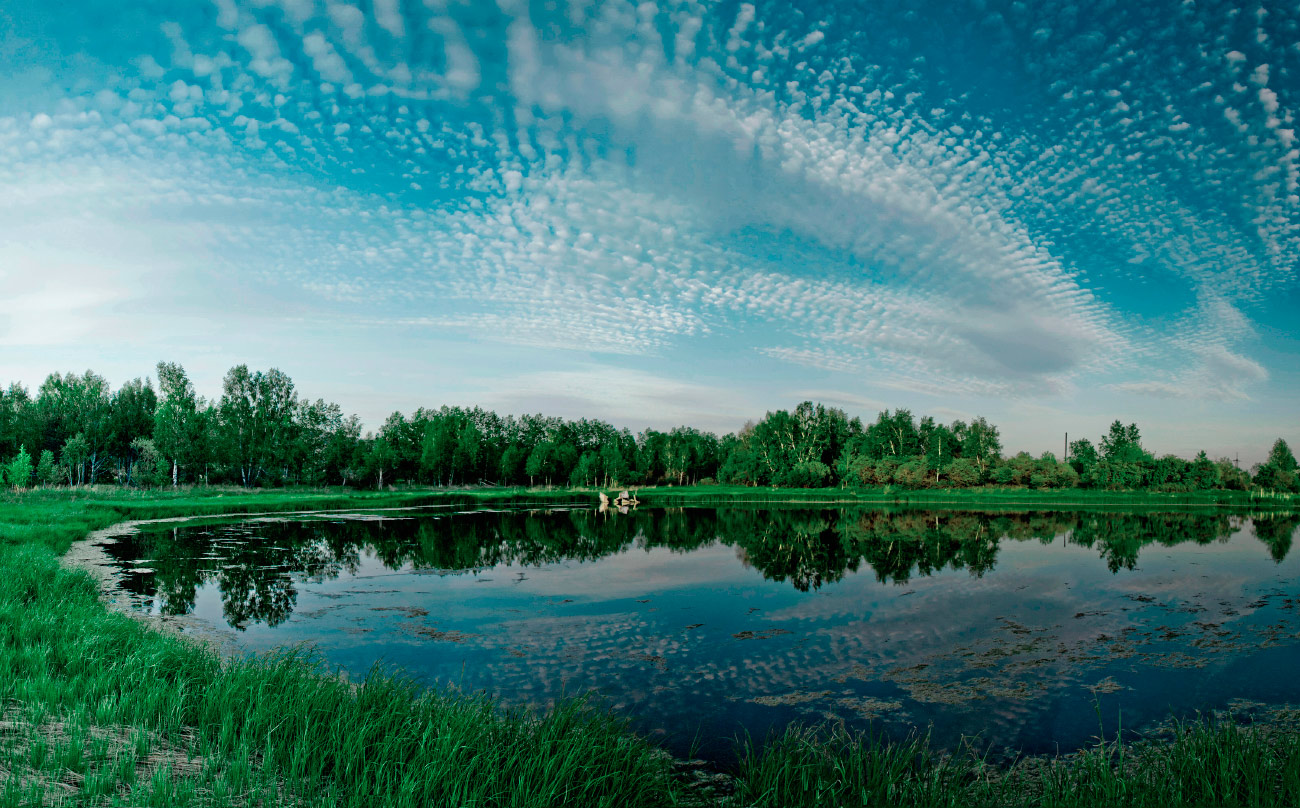 ��������� �������� ����