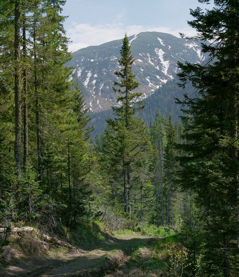 ���������� ����