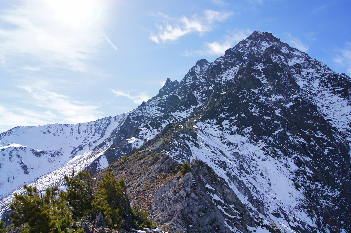 ����������