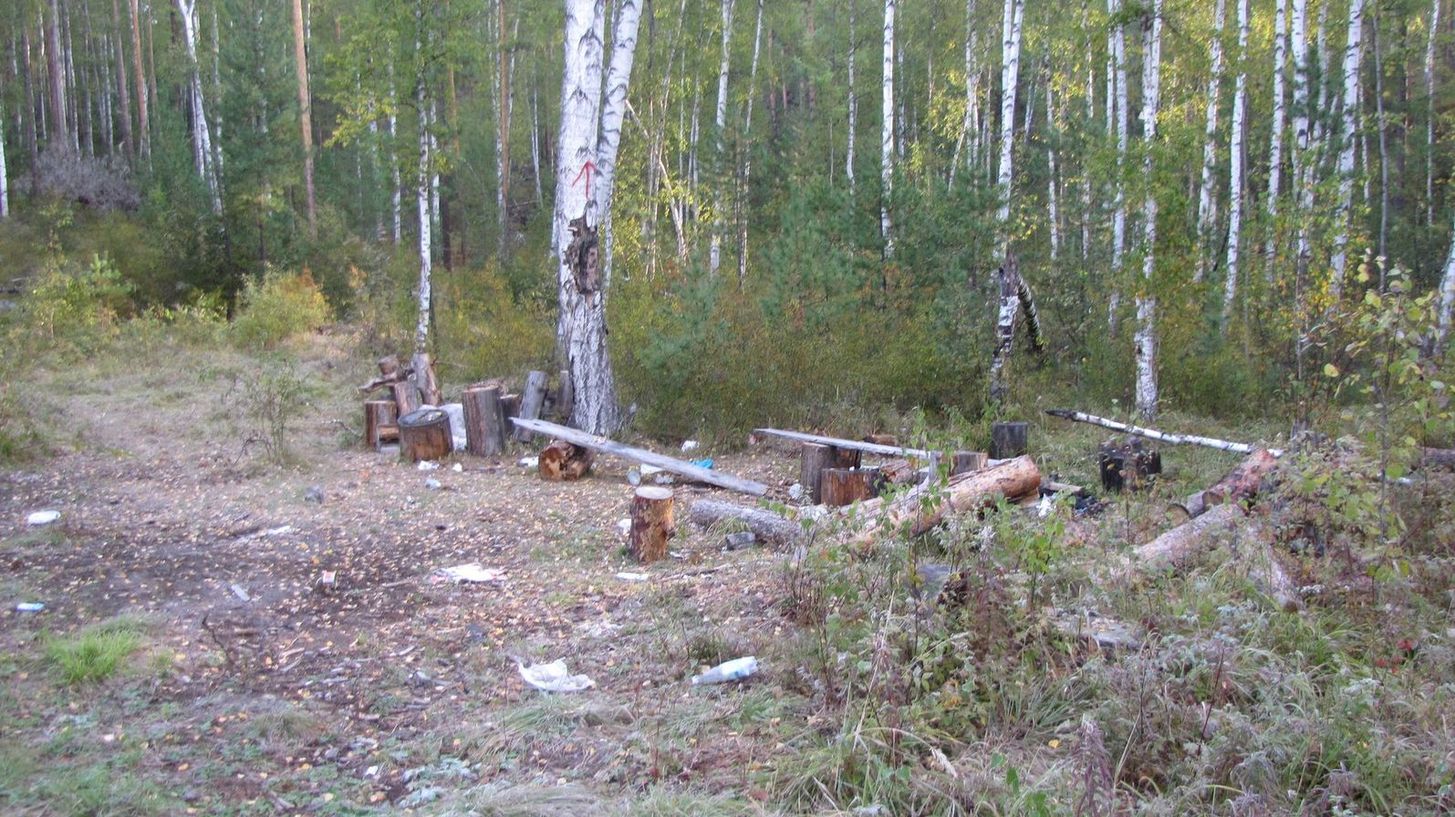 В начале тропы на Барун-Хандагай - полянка с чурбаками