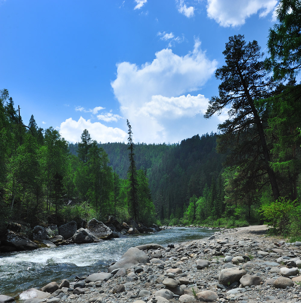 �� ���� ���-����...