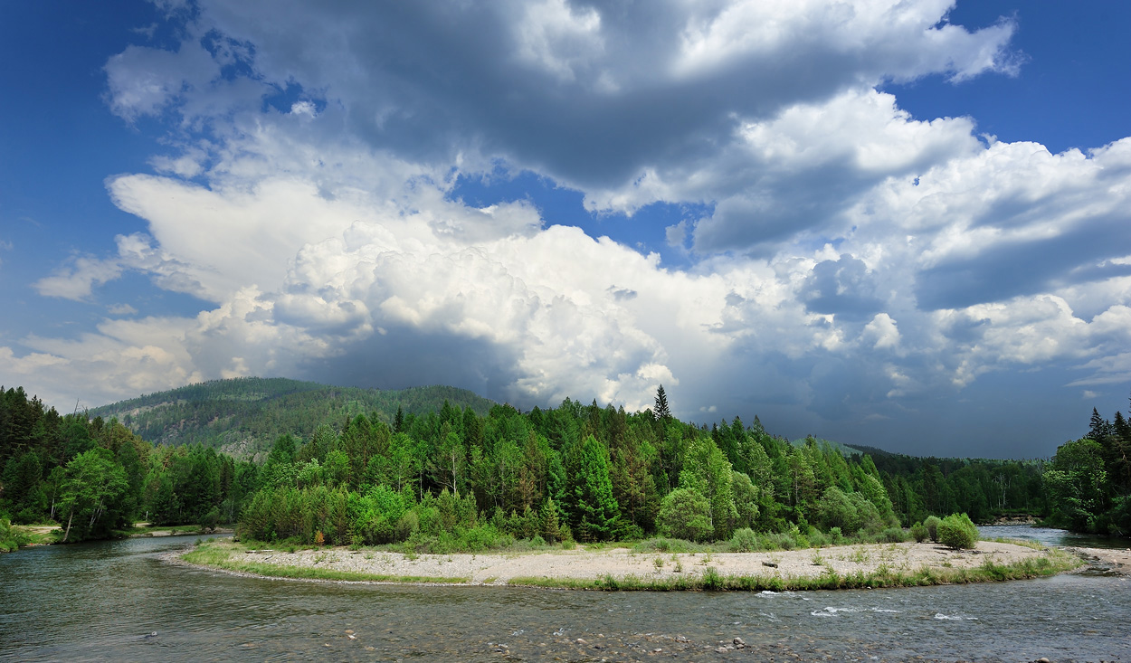 ������....