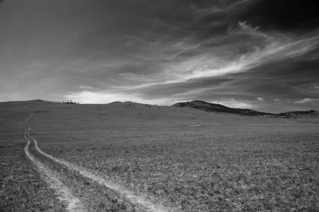 ������ ���������