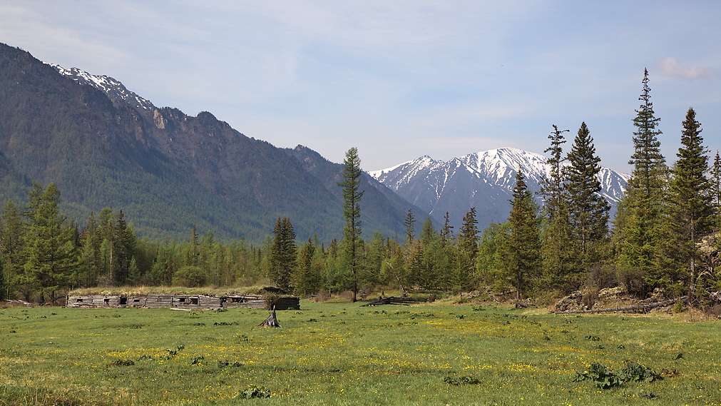 �� ������ �� ����-���