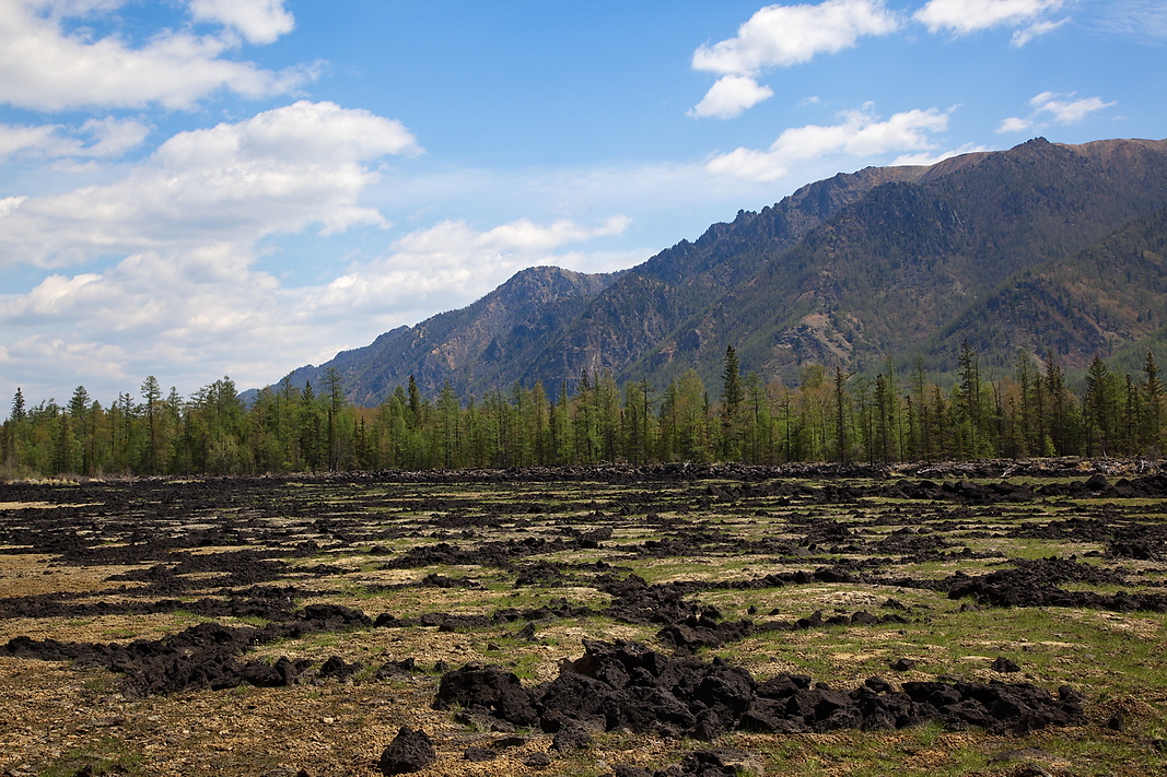 "����" ��������� �����