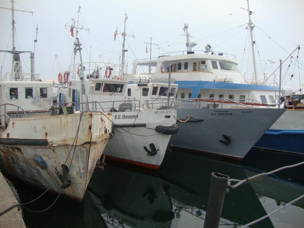 ��� ��������