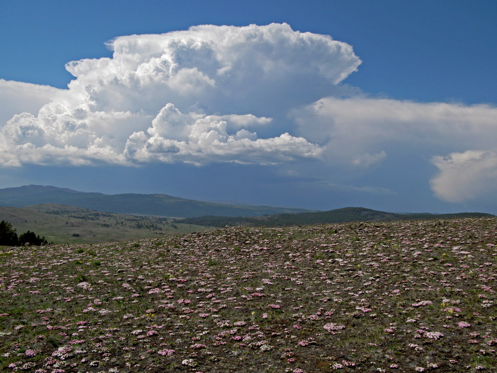 �������� ����� 2.