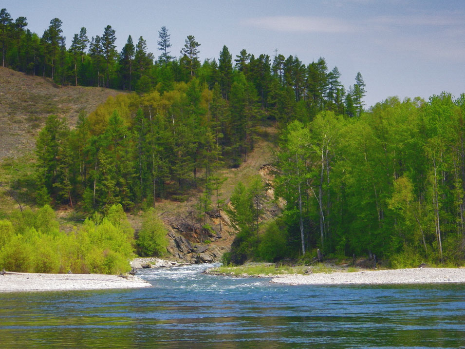 ����� �������