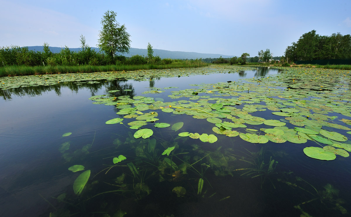 �� �����...