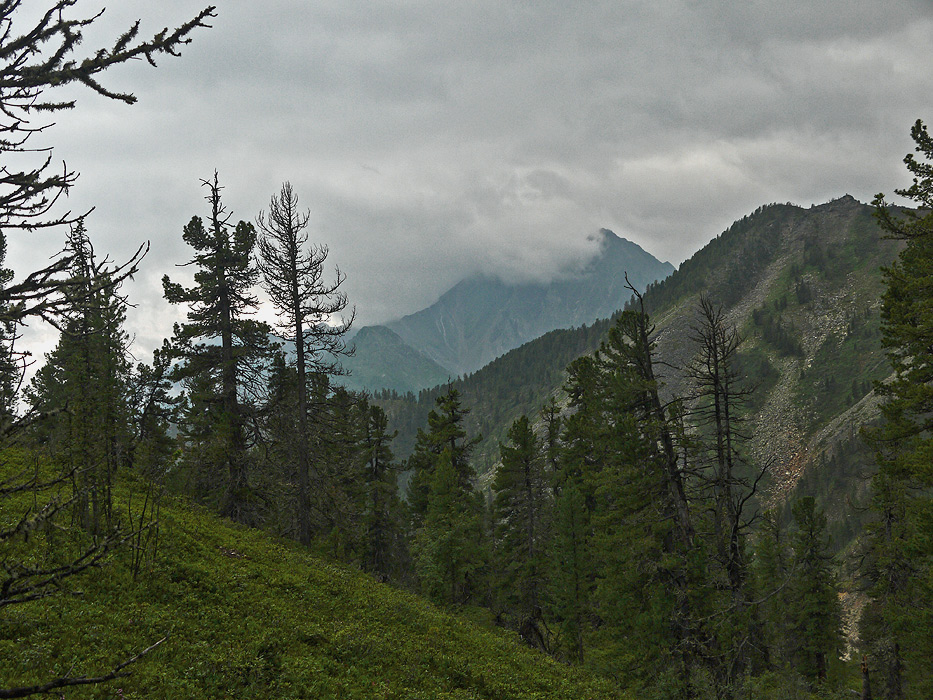 ���������� �����