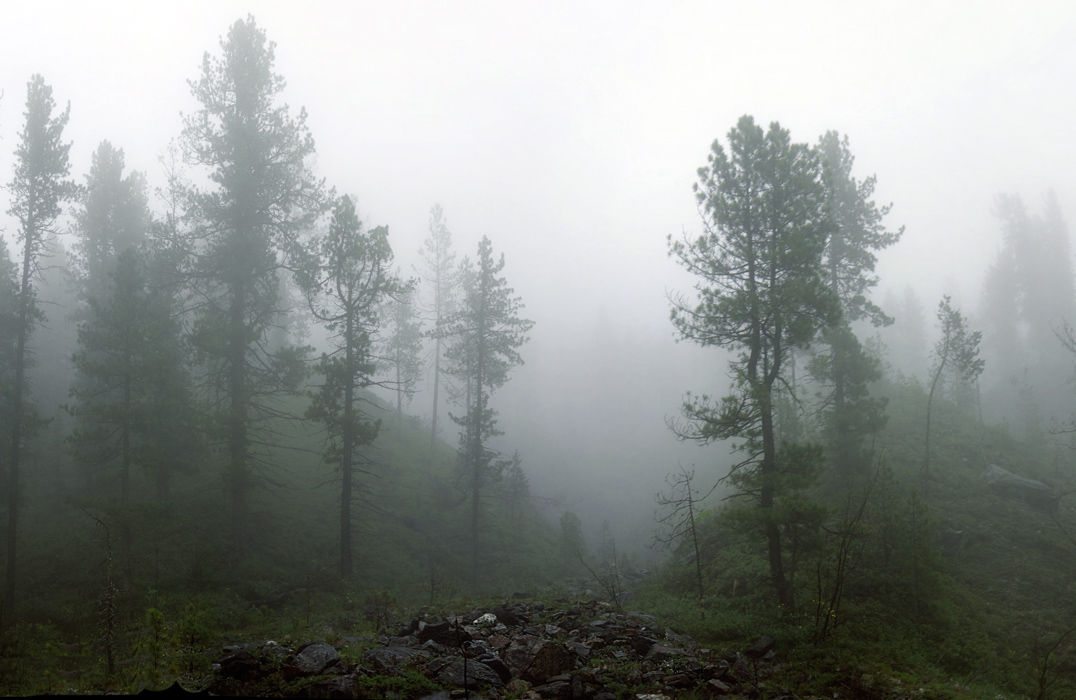 ����������� �����