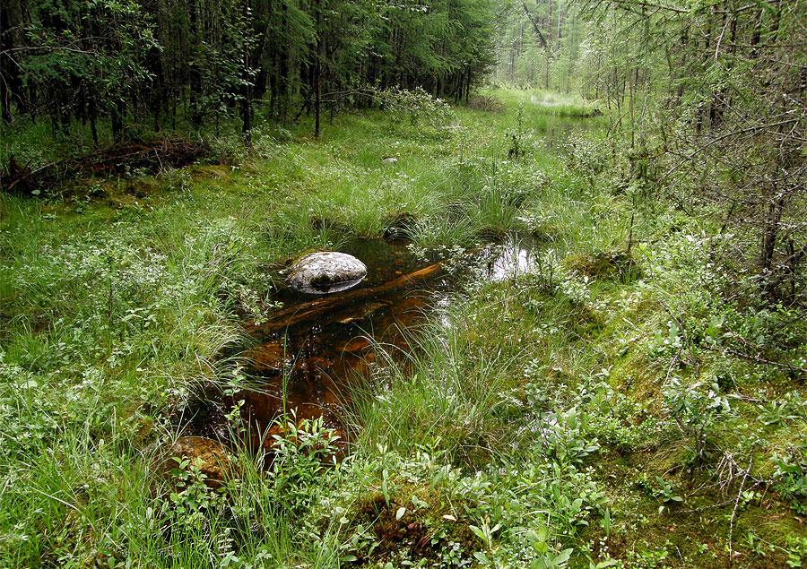 ��� �� ��, ���?