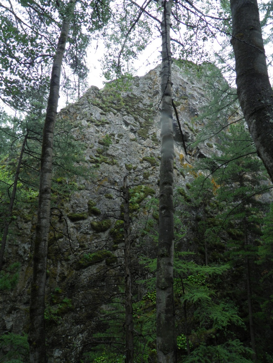 "������� ��������� �����" ��� "����� �����"