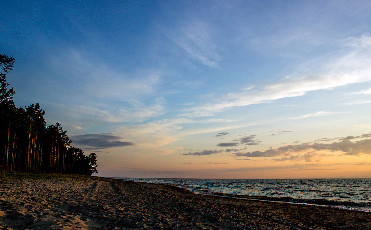 ����� � ��������. ���� 2012 �.