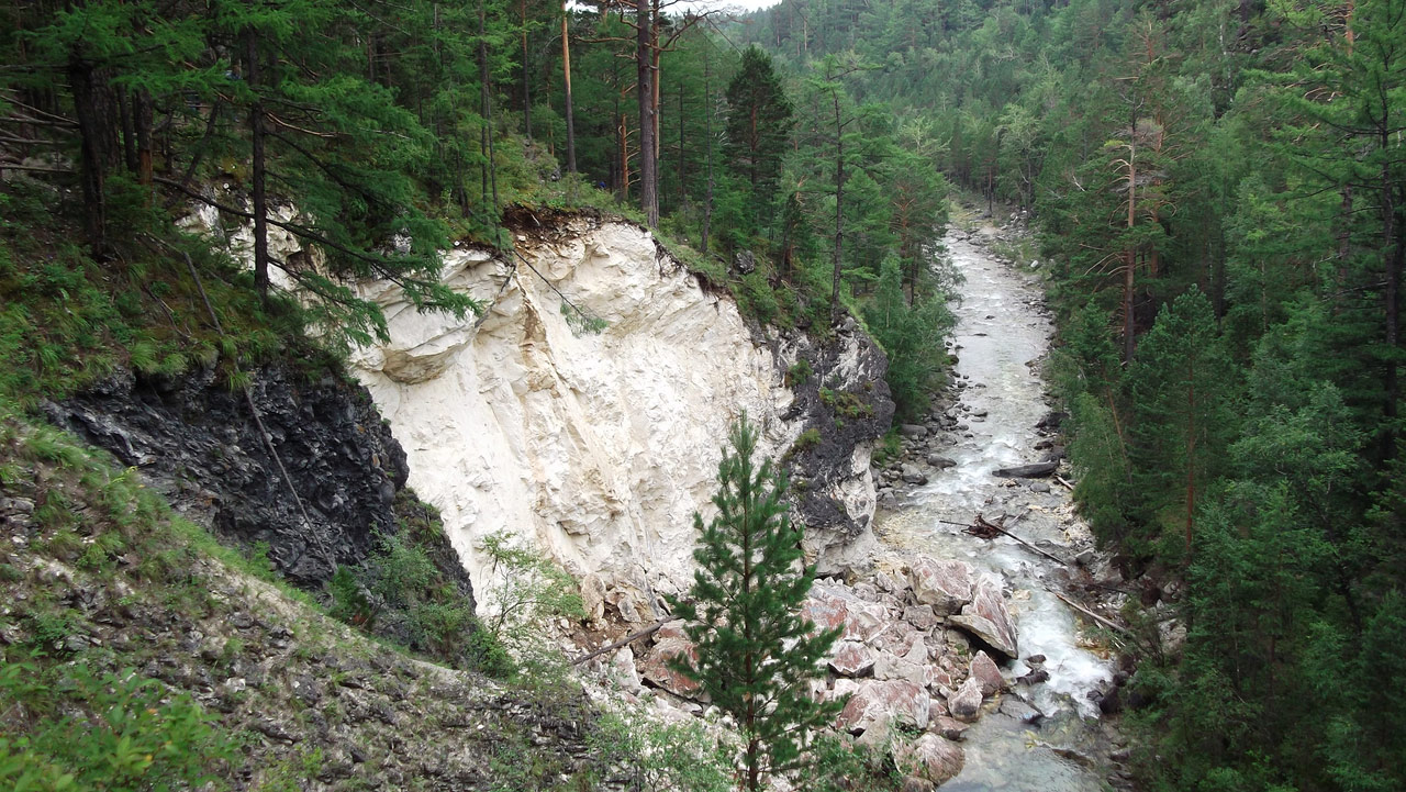 Кынгарга