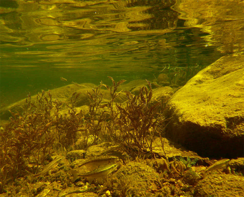 ���������� ������