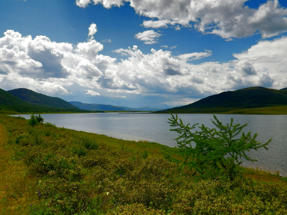 ������ � �������� �������