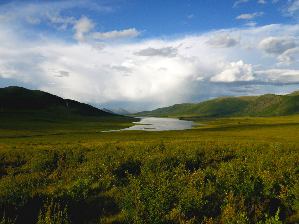 ��� ������� ������