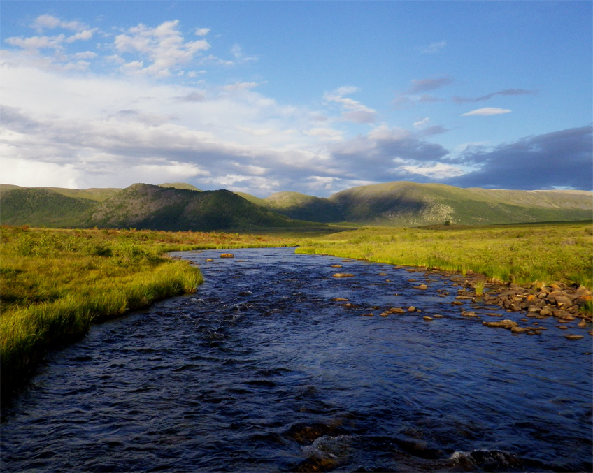 ������ ������