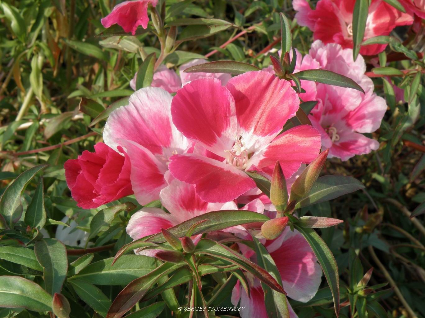 �������