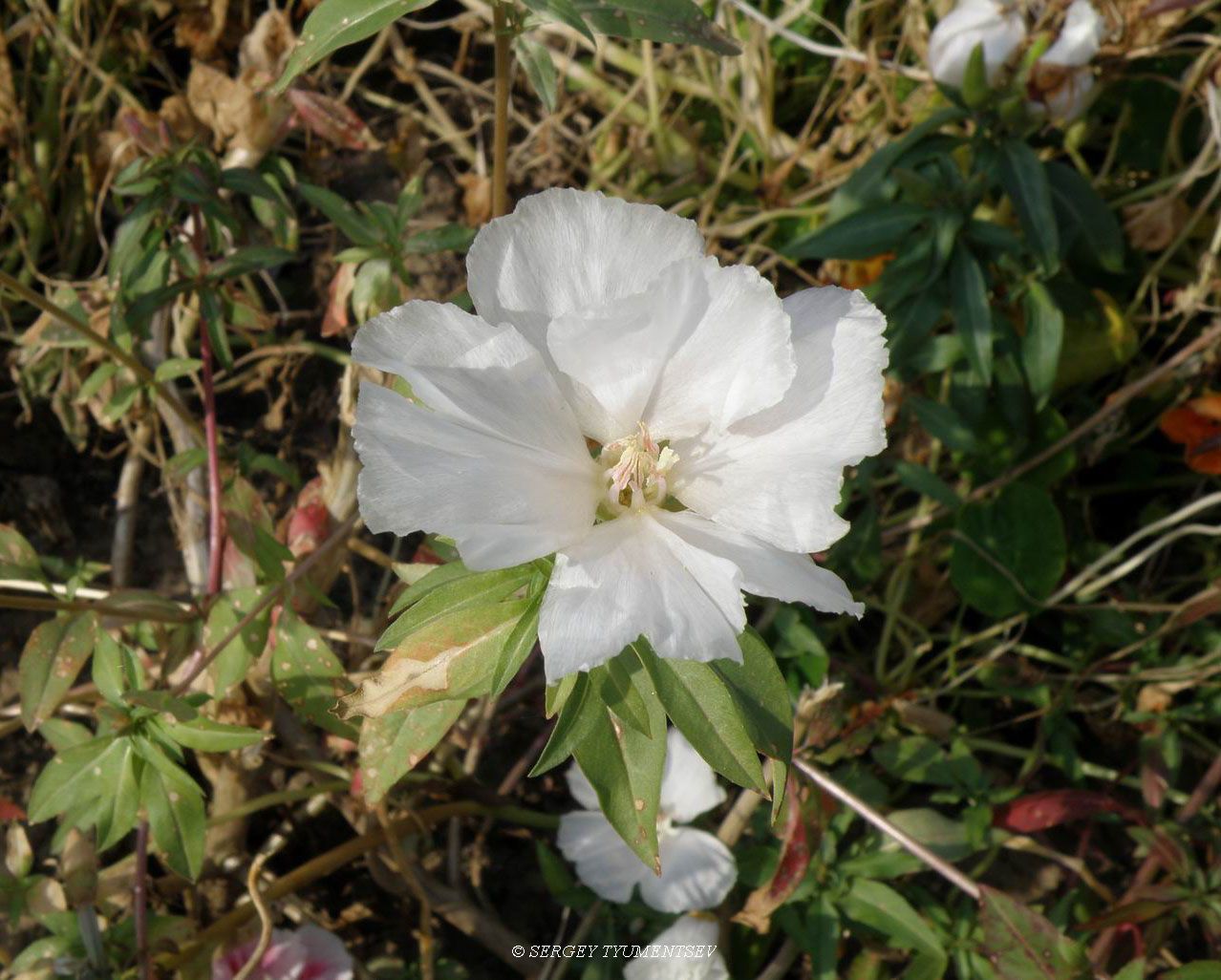 �������