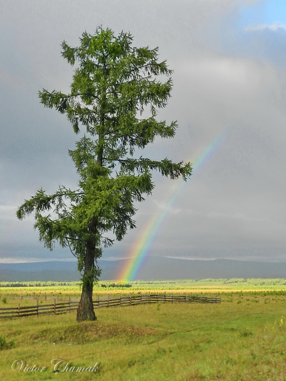 ������ � �.���-������