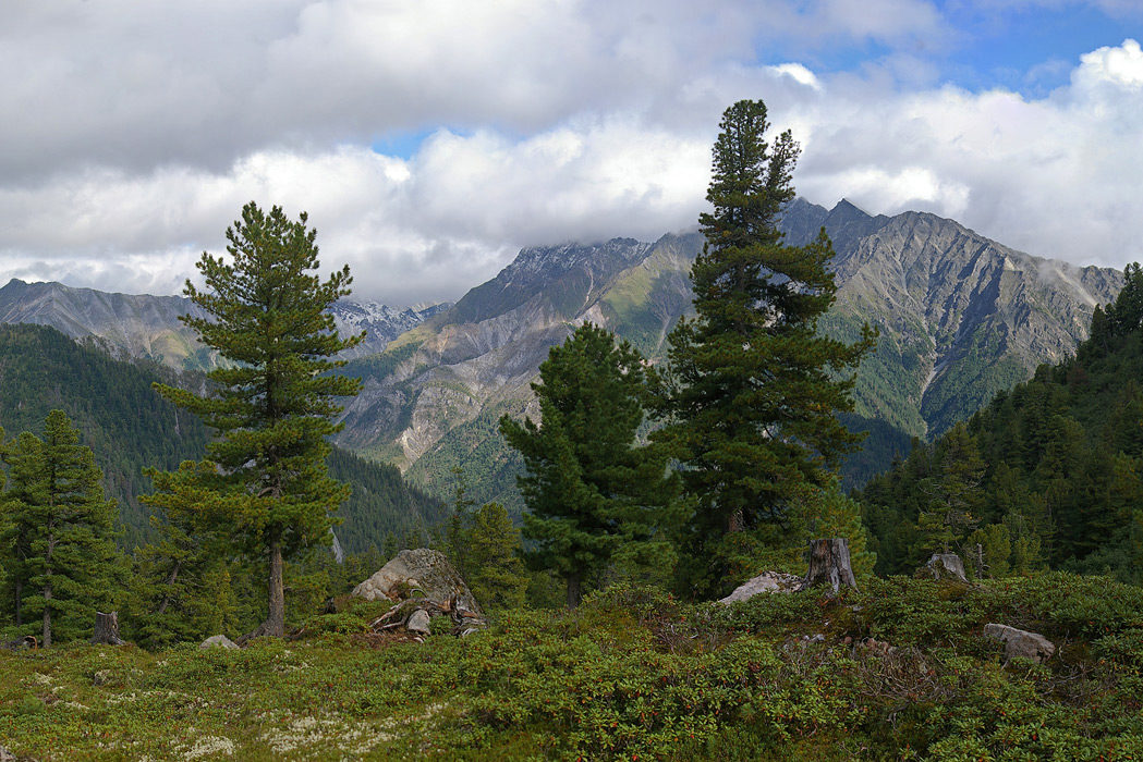  � ����� ��� ���� �� ����