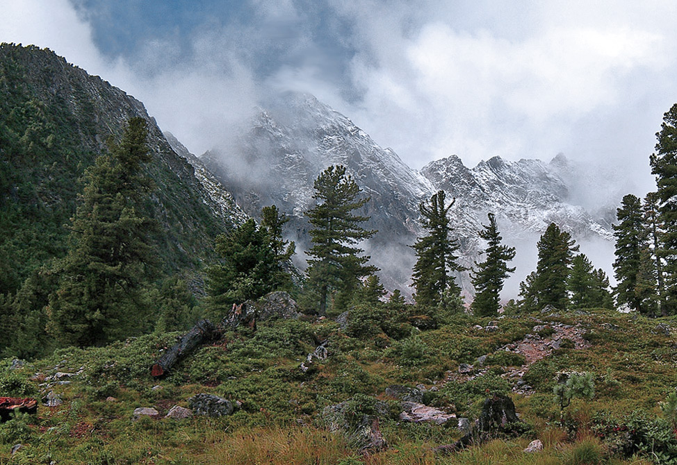 ���������� ������