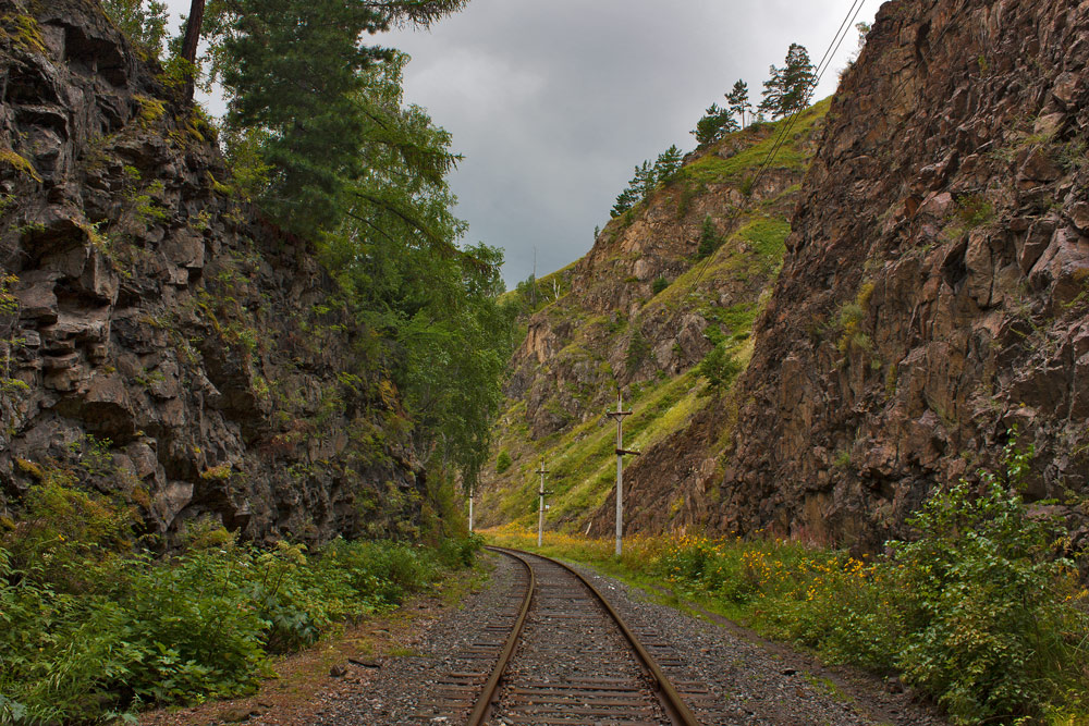 ������ ����� ����.