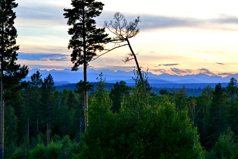 ����� �����