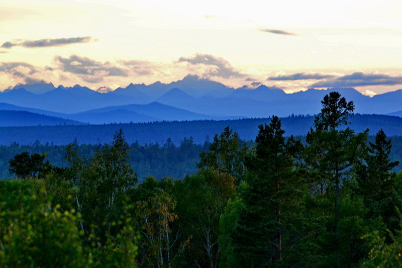 ����� �����