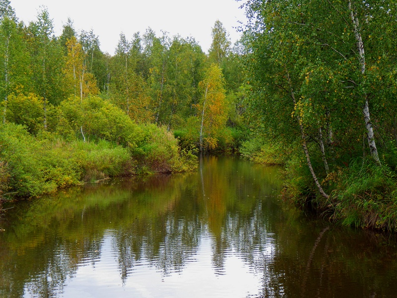 ������ �����