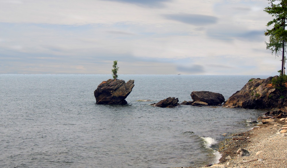 ������ ��������