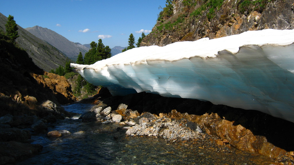 ��� ���������