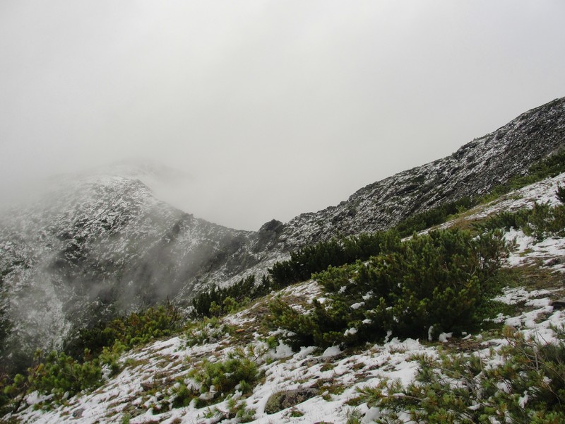 �� ��� �������� 18 �������