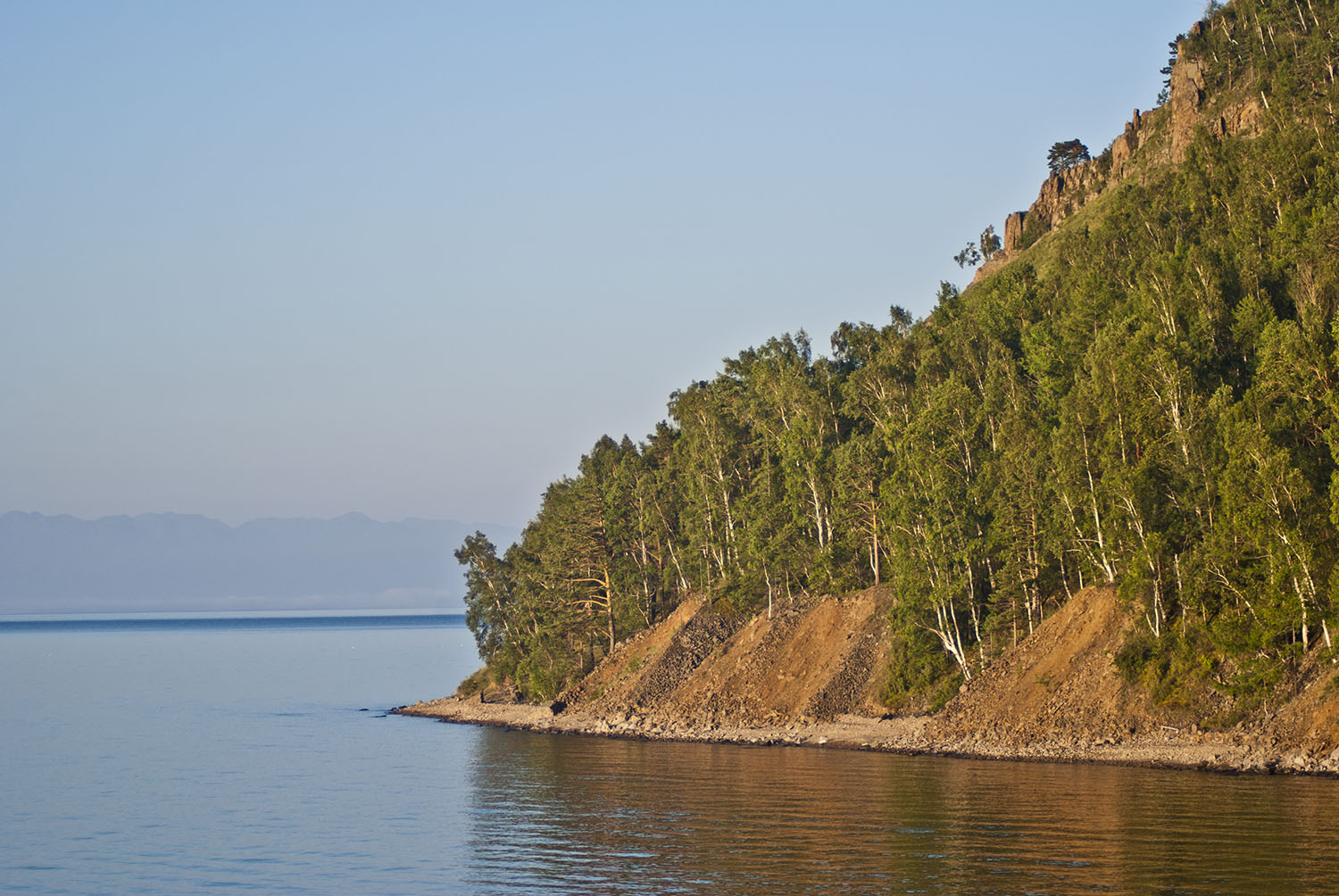 ���� �� ����� �������������