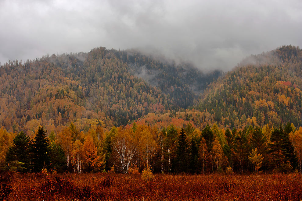 ����������� �� ����� ����