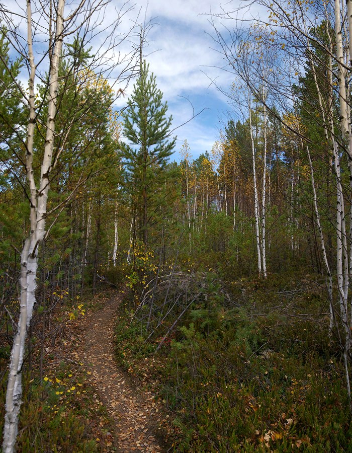 �� ������ ��������