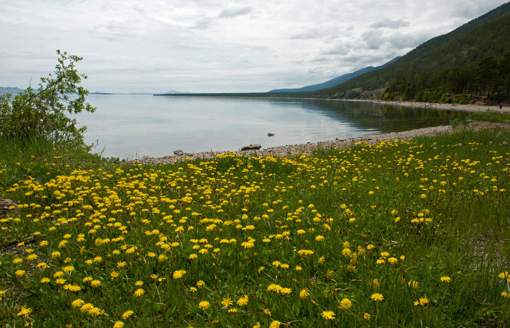 ����� ������ �����������