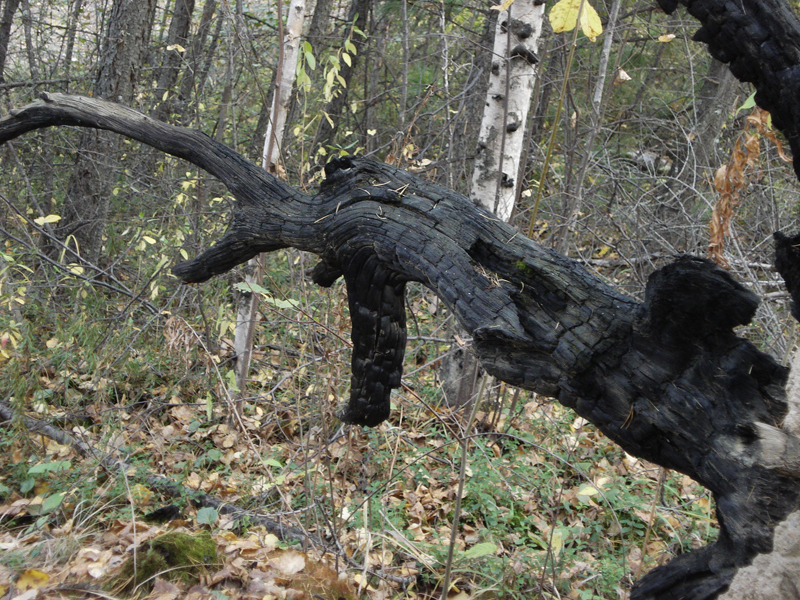  "��� �� ��..."