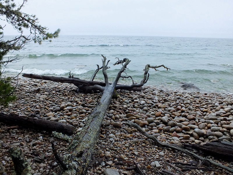 ���� ������ ������ 