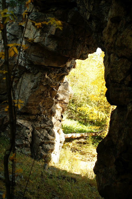 ���� �������