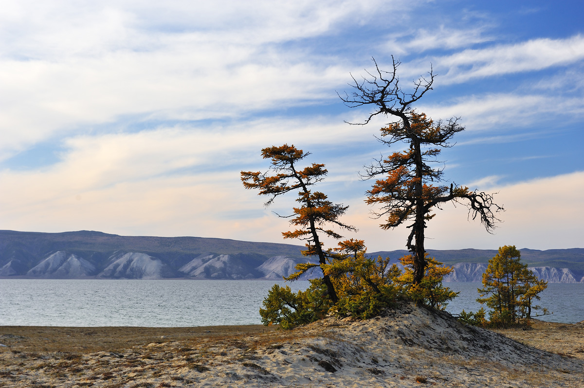 ���������� ����������...