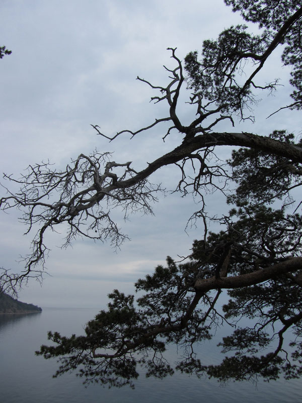  �������� ������ �������