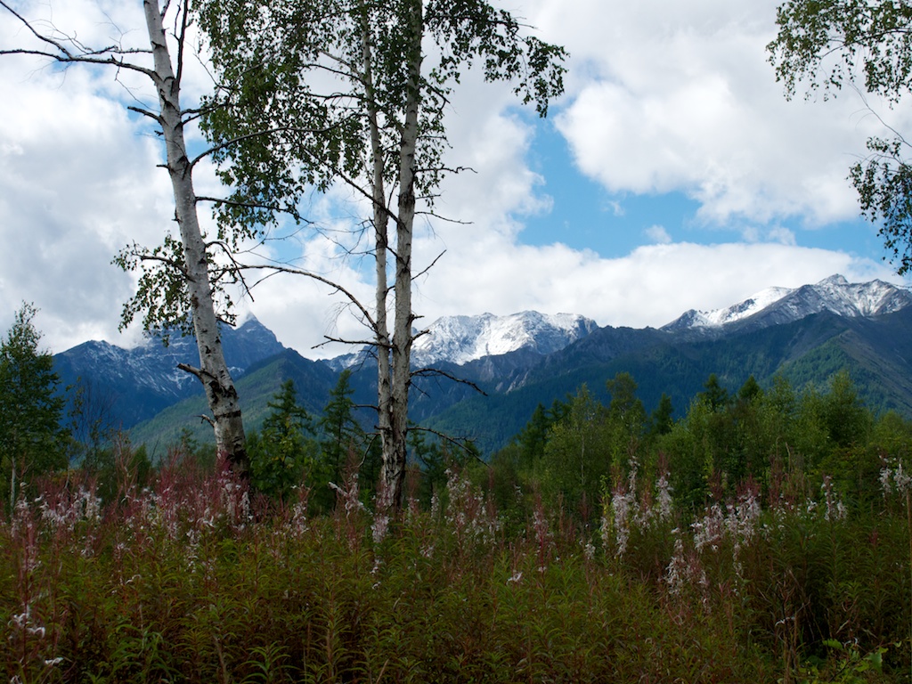 ����, �������