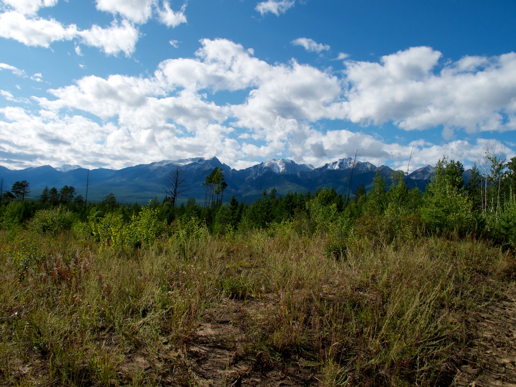 ����, ����