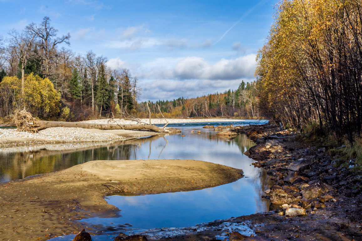 �. �������