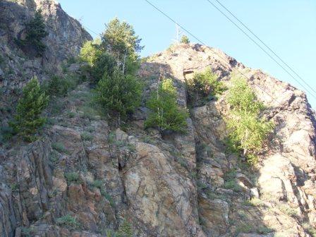 ����� �����