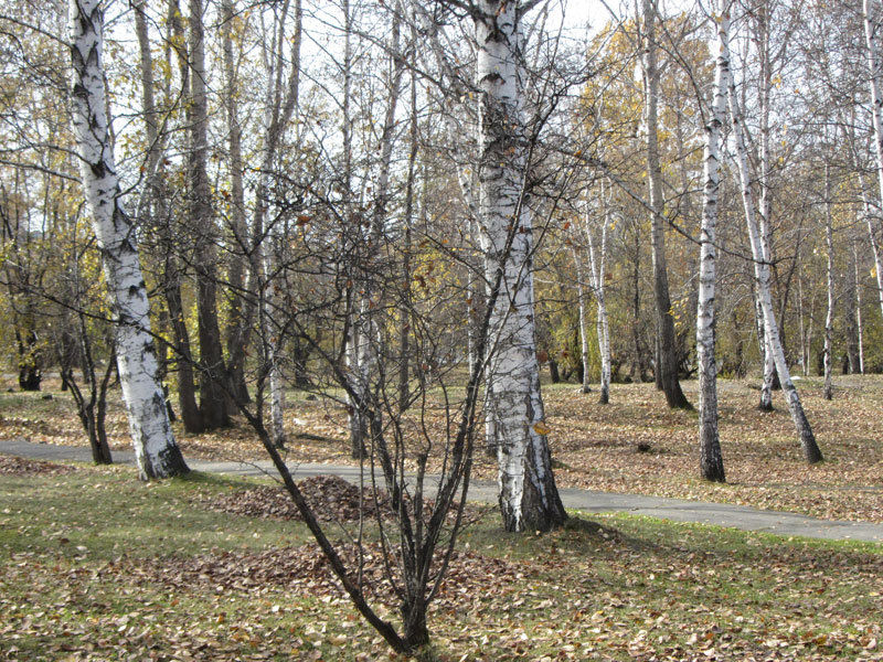  ����� ������������